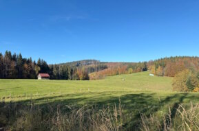 Laussa im Nationalpark Kalkalpen